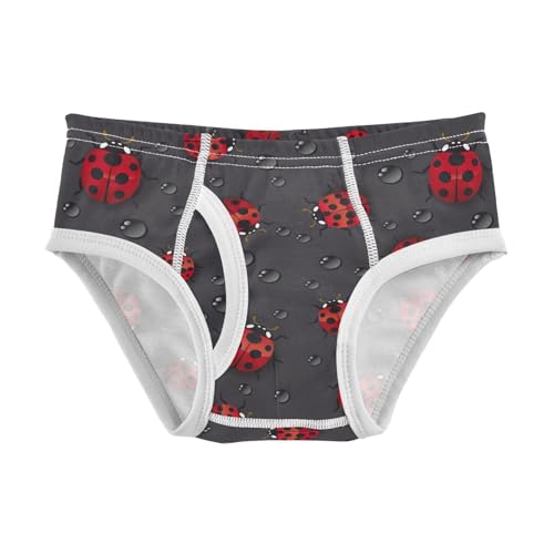 visesunny Boys Cotton Underwear Cute Ladybug Pattern Printed Toddler Soft Training Briefs Size 2T-8Y for Kids