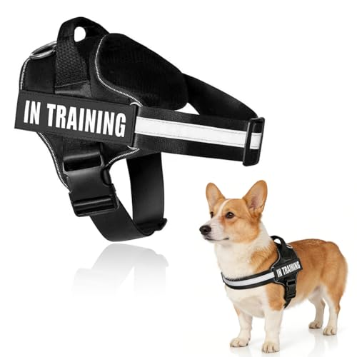 DOKRIN Imbracature con pettorina per cani,Una pettorina nera per cani con cinturino anti-strappo regolabile, attacco frontale, fibbia facile da indossare e design riflettente.