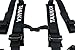 Tanaka Phantom Series Buckle 4 Point Safety Harness Set with Ultra Comfort Heavy Duty Shoulder Pads (Onyx)