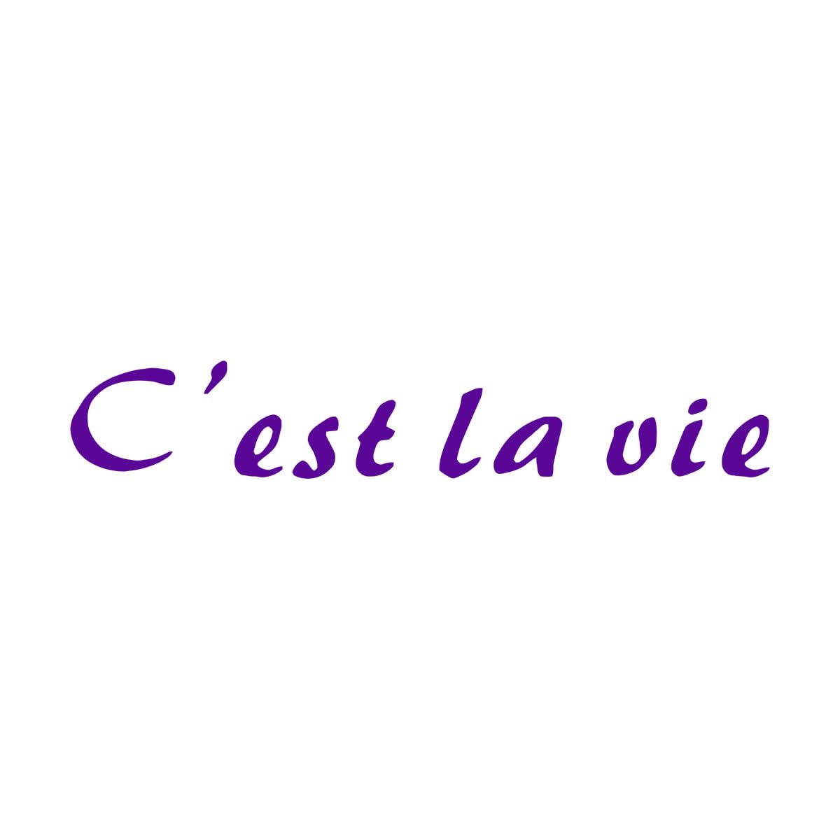 French Phrase Wall Stickers for Motivational Quote It's Life Home Decor Living Room Office Conference Room Vinyl Wall Decal Extra Large - 25x142cm โ image 1