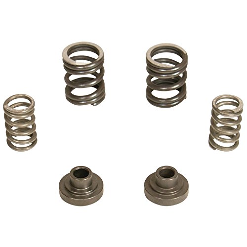 BD Diesel Performance 1040187 Governor Spring Kit