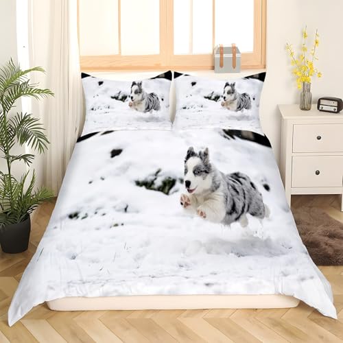 Housse de couette 200x200 chat gris pour une chambre cosy et cocooning - 3
