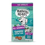 バーキングヘッズ グレインフリー タミー ラビング ケア フィッシュ 全犬種成犬用 (2kg)