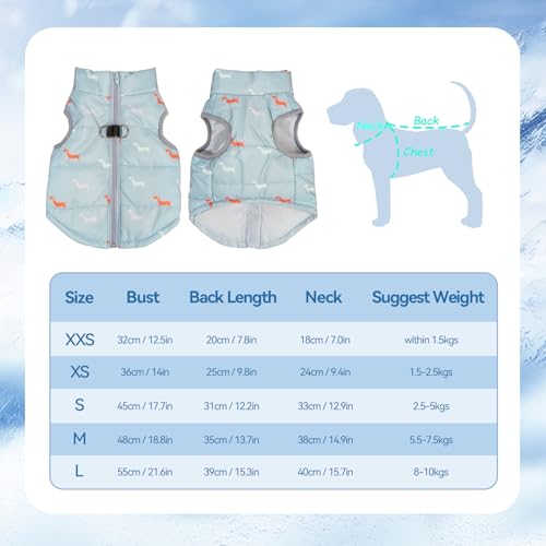 Asmea Hundemantel Winter Hundejacke Warme Hundemantel für Kleine Hunde Winddichte Hundeweste mit Geschirr Loch Schwach Wasserdicht Weihnachten Hundejacke für Chihuahua Dackel Grau Blau XXS
