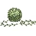 MoonLa Artificial Vines, 327Ft/100M Fake Hanging Plants Silk Ivy Garlands Simulation Foliage Rattan Green Leaves Ribbon DIY Craft Wreath Accessory Home Wall Garden Wedding Party Decor