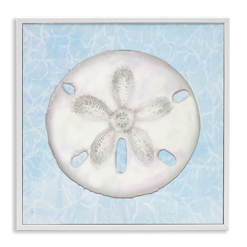 Sand Dollar Aquatic Waves Coastal, 17 x 17 Inch Framed Giclée Print