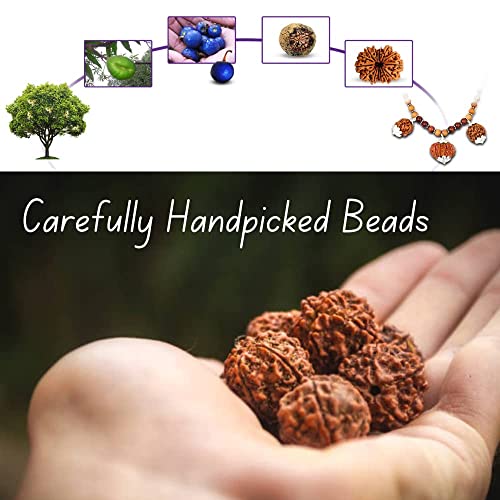 Zen Bells 108 Beads Natural Rudraksha Fruit - Nepali Original Rudraksh Beads with Natural Shell for Rudraksha mala Bracelet (108)
