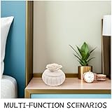 Zoom IMG-2 caxusd scatola portagioie in ceramica Zoom IMG-2 caxusd scatola portagioie in ceramica