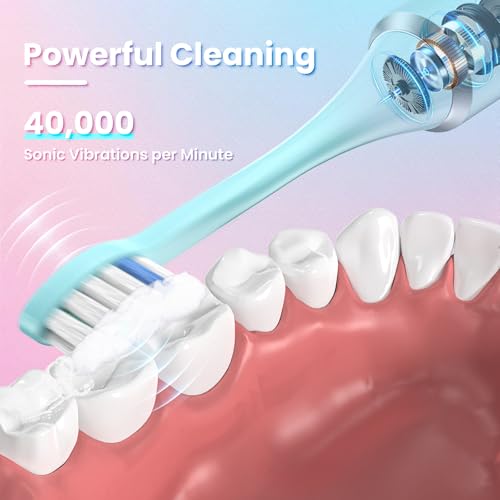 YUNCHI Elektrische Zahnbürste, Schallzahnbürste für Erwachsene & Kinder - 40000 VPM, USB-C Aufladbar, 5 Putzmodi mit Intelligente Merkfunktion, 8 Bürstenköpfe + Reiseetui, Blau – Bild 4