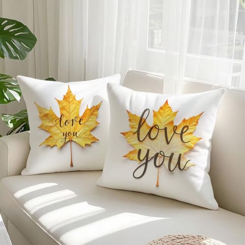 Housse de coussin 60x60cm imperméable en velours d'automne pour canapé