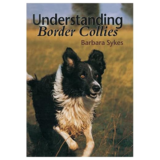 Understanding Border Collies