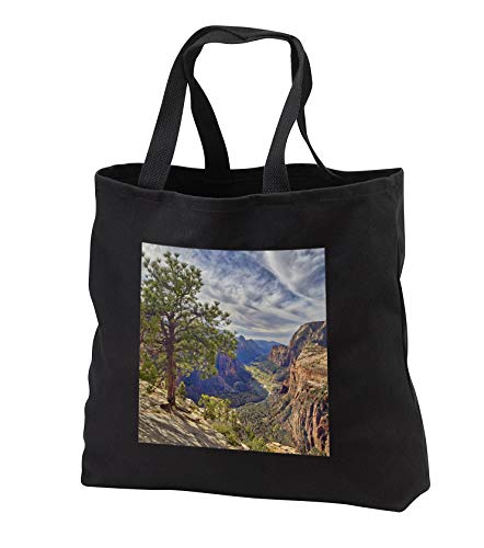 Black Tote Bag 14w x 14h x 3d - Utah, Zion NP, Zion Canyon, view from Angels Landing. Landscape
