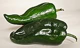  Chile poblano PIMIENTA SEMILLAS sabor suave Chili relleno de plato 12 semillas por PKT
