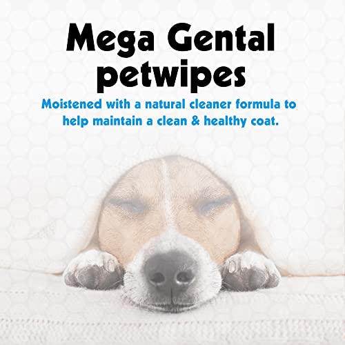 Image of Petkin Pet Wipes /Grooming Wipes for Dogs and Cats Mega Pack, Veterinarian Tested 200 Wipes | Mega Value Pet Wipes