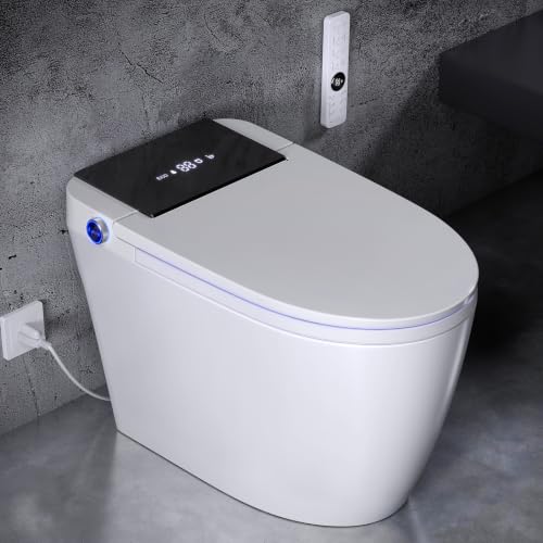 Modern Smart Toilet with Bidet