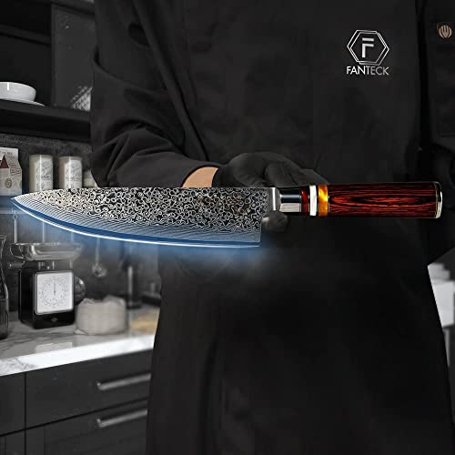F FANTECK VG10 Damascus Professional Sharp High Carbon Stainless Steel 67-Layer Ergonomic Pakkawood Handle-Acrylic Rim Chef Kitchen Knife for Cutting Meat Sushi Fruit Gyuto (8 Inch)