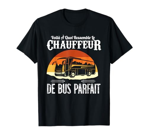 Chauffeur De Bus Parfait Humour Conducteur Idée Cadeau T-Shirt