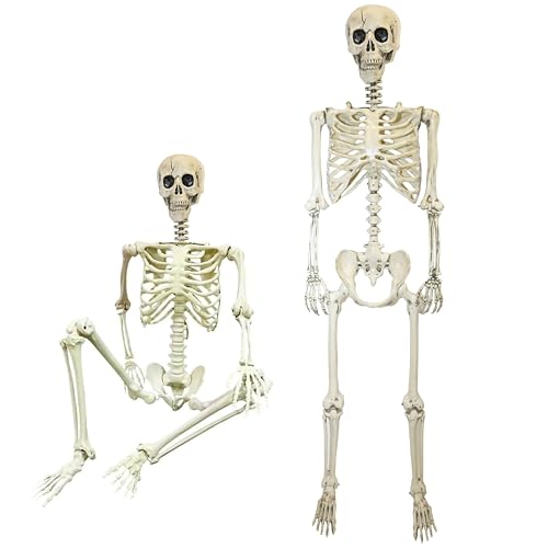 Skeleton