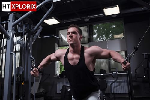 Image of Pair of D-Shaped Handles - Cable Machine Attachments for Versatile Upper Body Workouts