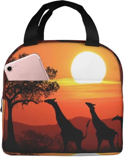 [ LƑ̃VGbg ۗ⃉`obO ٓ 킢 e ܂ y RpNg fMA~V[g |Pbgt g[gobN