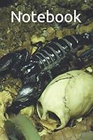 Notebook: a Photo of Scorpion, Skull, Animals, Office Planner, Chaos Coordinator, Journal for Writing, Planners and Diaries to Write in, College Ruled Size 6 X 9 , 120 Pages, Blank Dotted 1659447909 Book Cover