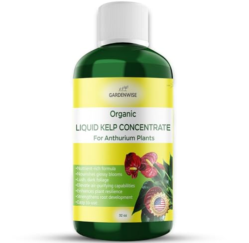 GARDENWISE Organic Premium Seaweed Anthurium Fertilizer - Liquid Kelp Plant