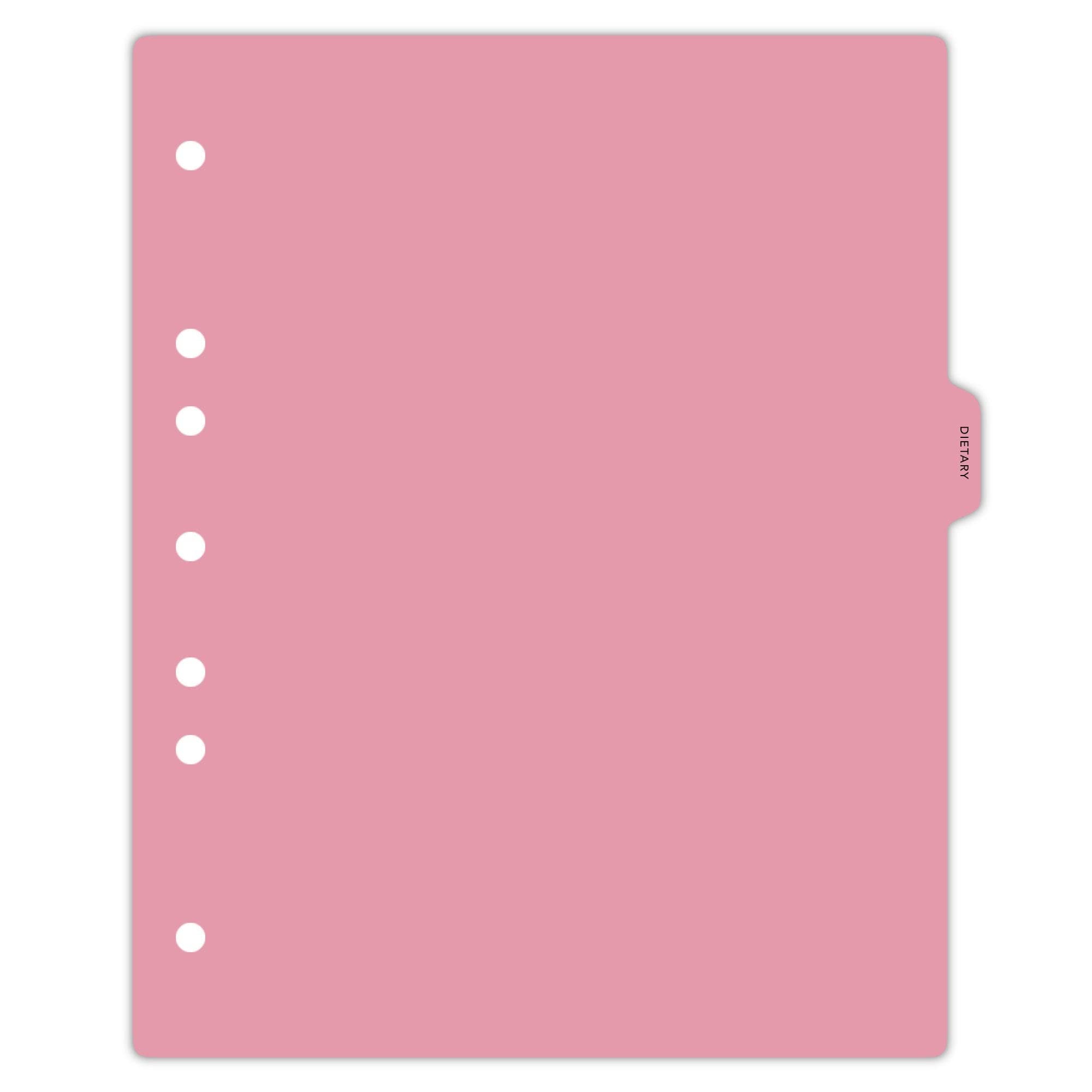 Carstens - Heavy Duty Dietary Plastic Ring Binder Dividers, Side Tab, 1/9 Cut, Tab 4 Position, US Letter, Pack of 10, (2616-31) - Ideal Medical Chart Dividers for 3 Ring Binders