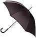 Produktbild Fulton Regenschirm, Schwarz
