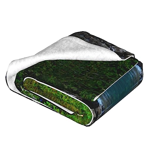 Couverture ours marron en peluche réversible pour lit et canapé - 4