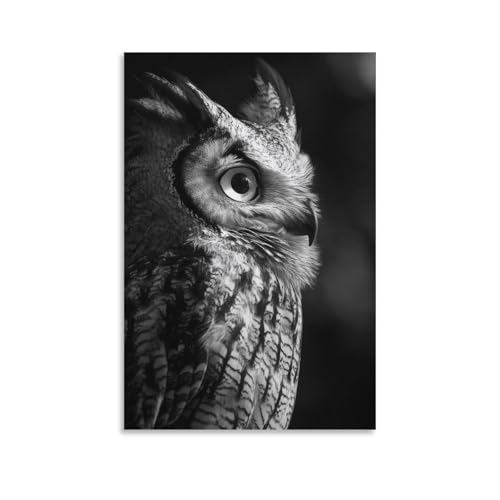 Impression d'art mural hibou rompre la monotonie d'un mur blanc - 3