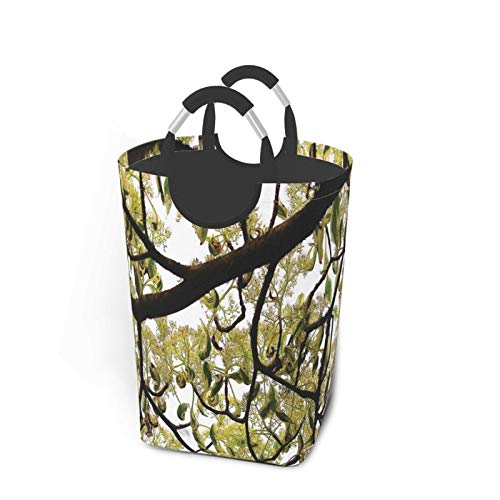 Wäschesack,Baum Detail Natur Fotodruck,Großer faltbarer Wäschekorb,zusammenklappbarer Wäschekorb,zusammenklappbarer Waschvorratsbehälter