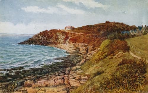 Tableau moderne Clevedon Lady's Bay Quinton pour une atmosphère apaisante au salon