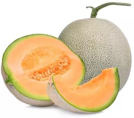 Willvine Super Sweet Musk Melon Fruit-PUAS-22T-image-28