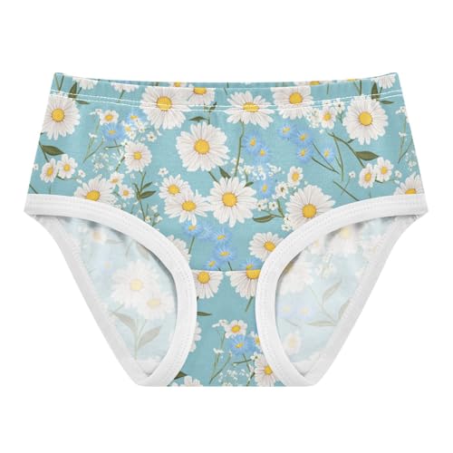 Wusikd White Daisies Girls' Underwear Cotton Girls Briefs Soft Toddler Underwear 2T