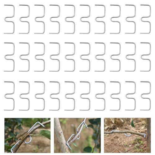 30PCS Metal Branch Spreaders for Fruit Trees - Tree Branch Supports, Adjustable Garden Branch Extenders, M-Shaped Fruit Tree Training Clips - Strong Limb Spacers for Apple, Peach, Cherry Trees