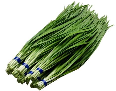 ys꒼szƖp 錧ق ɂ ji100gx10j1kgy①z