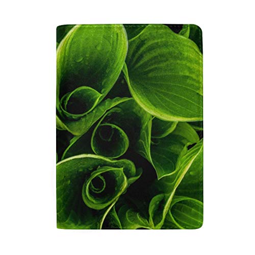 Preisvergleich Produktbild Wet Raind Wassertropfen Pflanze Grün Blätter Passhalter Abdeckung Brieftasche, RFID-Sperrkartenetui Travel Passport Organizer Protector