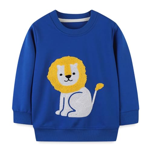 Boys Sweatshirts Long Sleeve Sweatshirts T-shirts Crew Neck Cotton Casual Sweatshirts Cartoon Tops for Boys-162