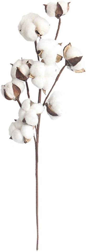 riempitore di vasi per fiori