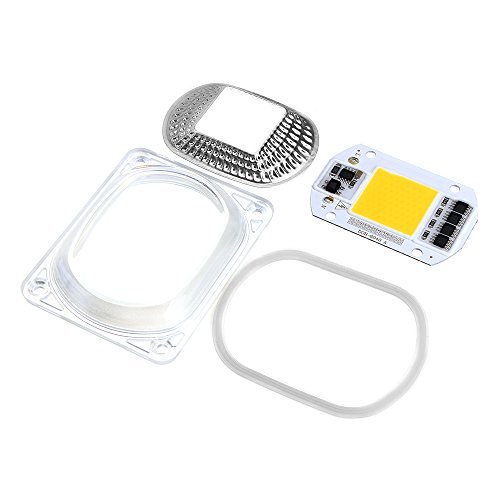 ERCZYO High Power 50W Bianco/Bianco caldo LED COB