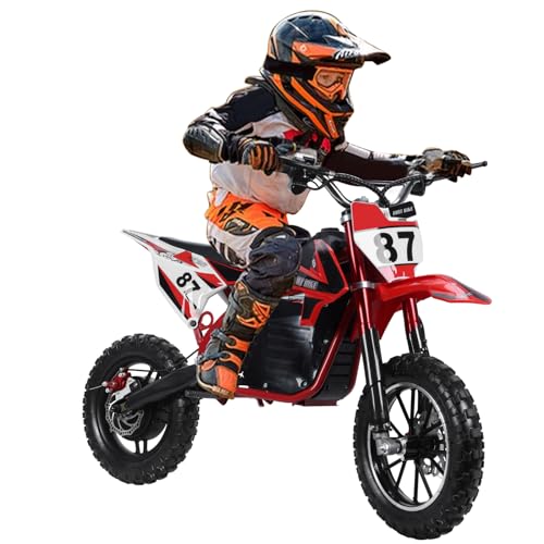 36V 500W Electric Mini Dirt Bike