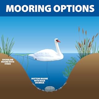 The Pond Guy Floating Swan Decoy Pair, Realistic Swimming Sculpture, Deterrent for Waterfowl like Geese, Ducks, & Wild Birds, For Pond, Lake, & Pool Use, Anchor with Weights or Lawn Decoration, 1 Pair