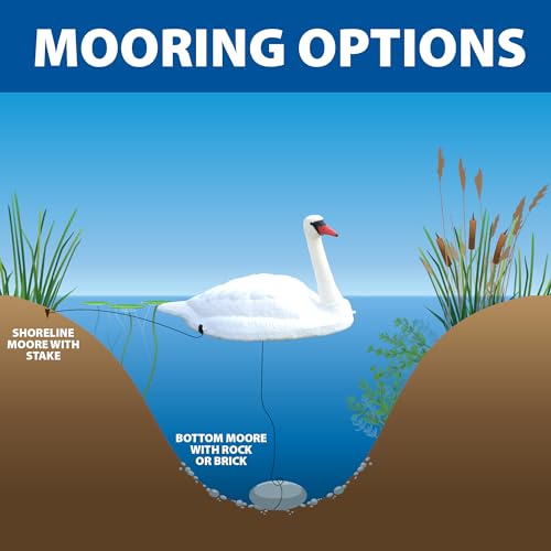 The Pond Guy Floating Swan Decoy Pair, Realistic Swimming Sculpture, Deterrent for Geese, Ducks, & Wild Birds, for Pond, Lake, & Pool Use, Anchor with Weights or Lawn Decoration, 1 Pair