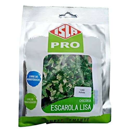 Sementes de Chicória Escarola Lisa Peletizada (1000 un) ISLA
