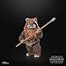 STAR WARS The Black Series Wicket, Return of The Jedi 40th Anniversary 6-Inch Collectible Action Figures, Ages 4 and Up