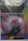 Papier photo brillant 6 x 4. Black Diamond Lot de 100 feuilles de papier photo brillant 6 x 4 R 100 mm x 150 mm 240 g/m²