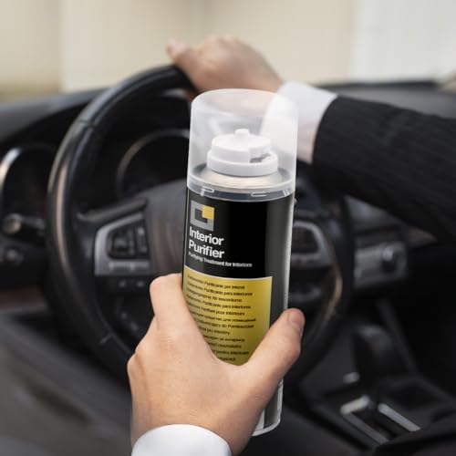 Errecom Total Care, Komplette Reinigungsbehandlung für Fahrzeug-Klimaanlagen und Fahrgasträume, Vanilleduft, 2 x 200 mL Flasche