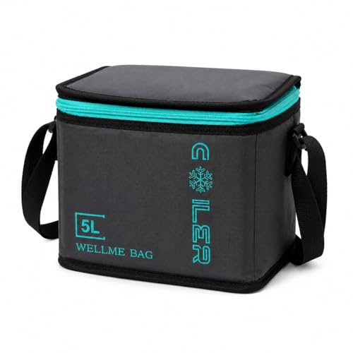 Bolsa Térmica Cooler Portátil Impermeável Alça Praia Camping Viagem (Cinza, 5 Litros)