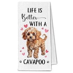 Cavapoo