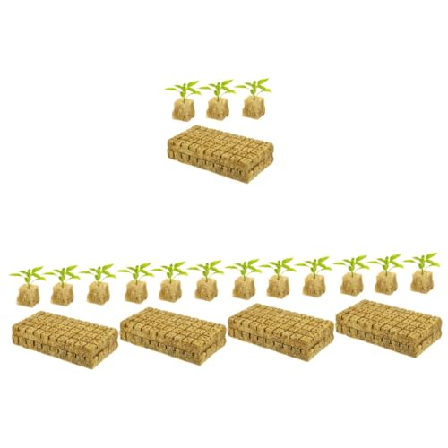 Yardwe 5 Set Spine Vegetali Cubetti Di Piantagione Radicamento Coltivazione Delle Piante Cubetti Di Piante Da Giardino Cubi Per La Propagazione Delle Piante 100 Pezzi * 5